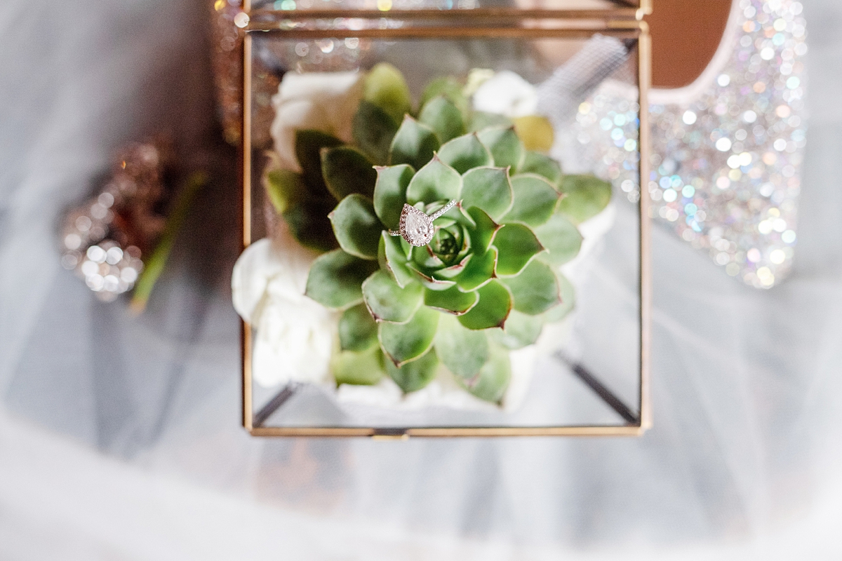 engagement ring in a succulent plant